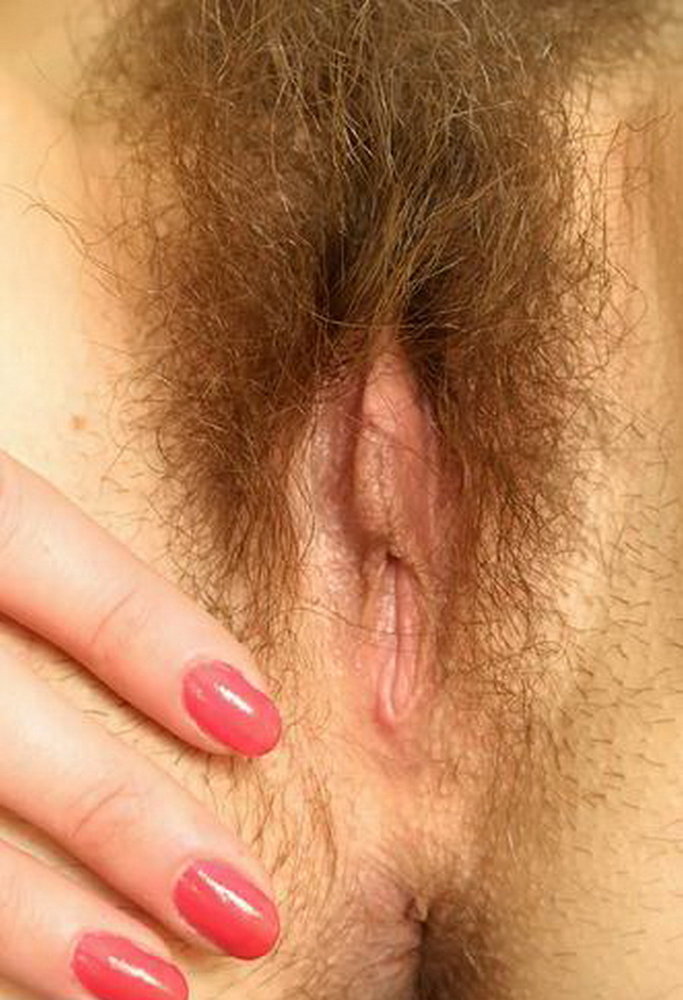 Gratis Foto 13933 Peludas