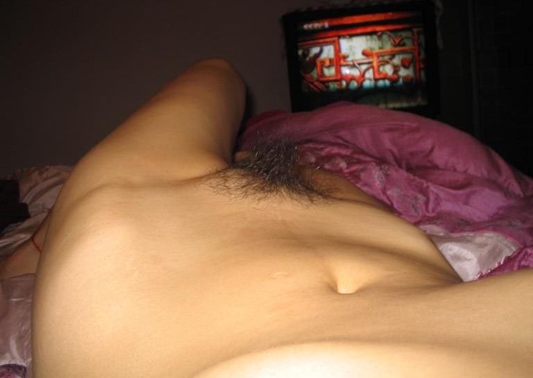 Gratis Foto 12960 Peludas