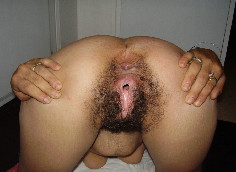 Gratis Foto 14315 Peludas
