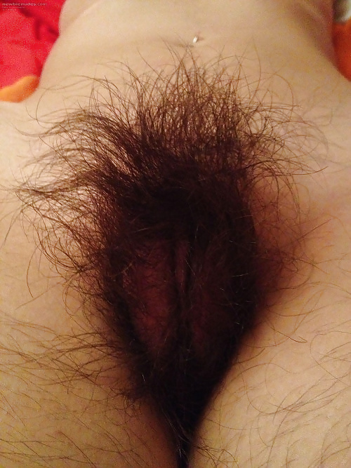Gratis Foto 4966 Peludas