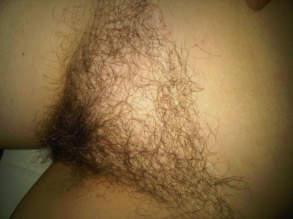 Gratis Foto 7167 Peludas