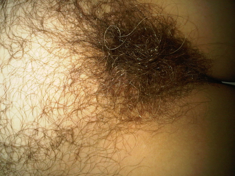 Gratis Foto 904 Peludas