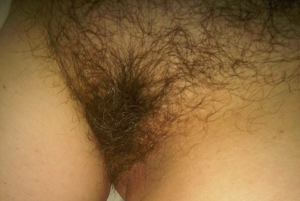 Gratis Foto 8219 Peludas