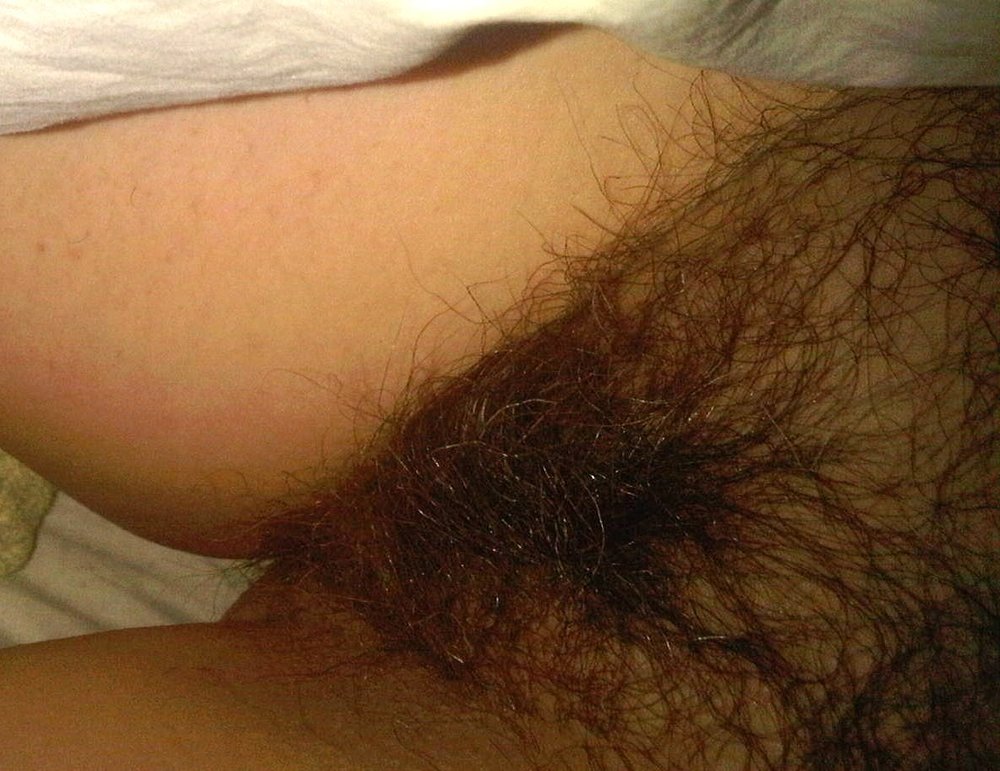 Gratis Foto 8645 Peludas