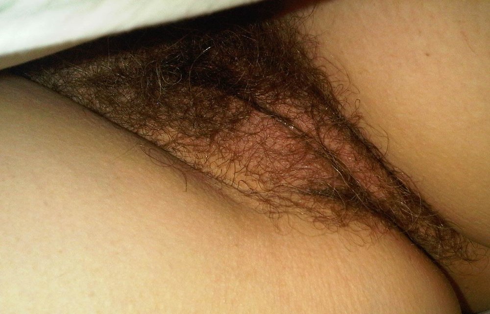 Gratis Foto 710 Peludas