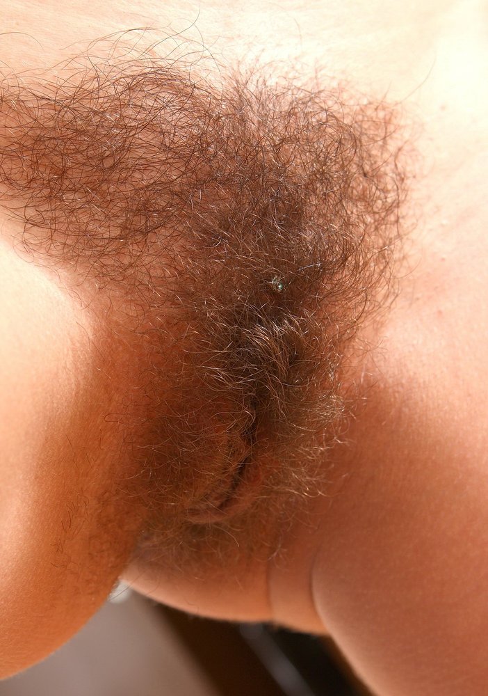Gratis Foto 3390 Peludas