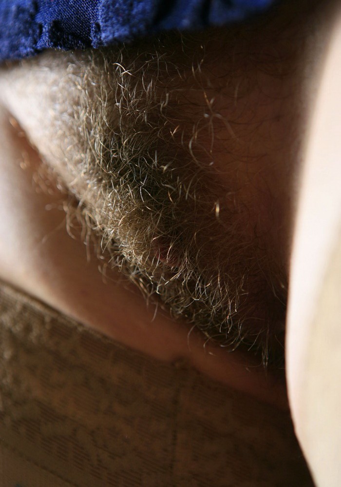 Gratis Foto 11229 Peludas