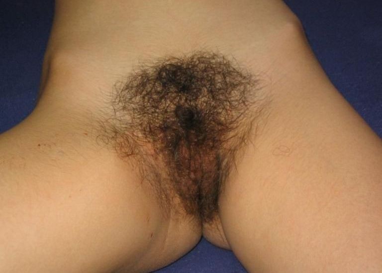 Gratis Foto 11060 Peludas