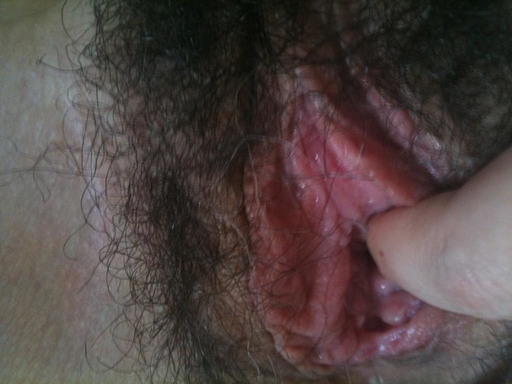Gratis Foto 204 Peludas