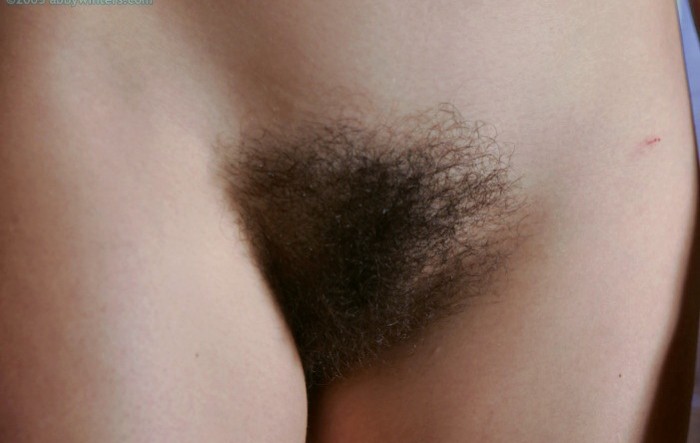 Gratis Foto 11200 Peludas