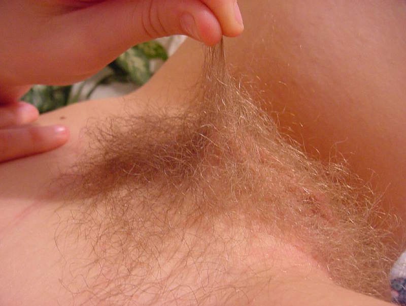 Gratis Foto 8307 Peludas
