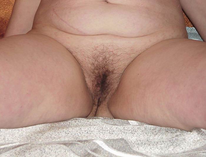 Gratis Foto 15097 Peludas