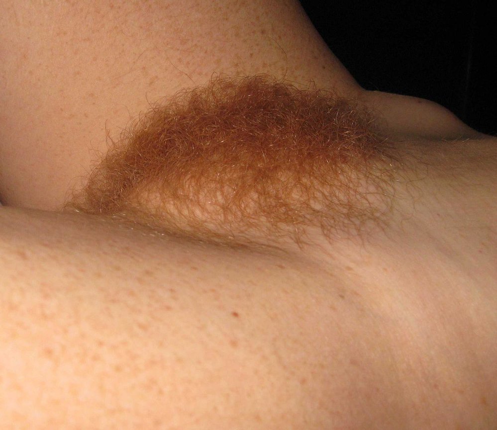 Gratis Foto 5652 Peludas