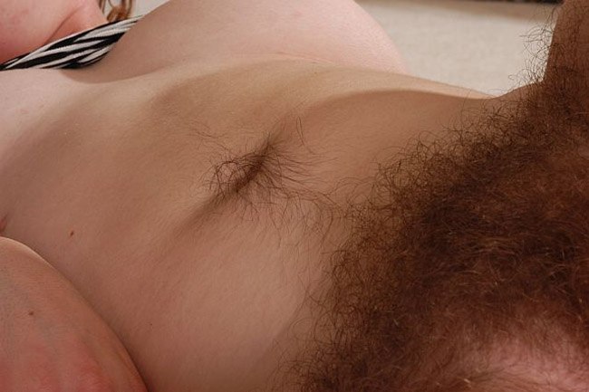 Gratis Foto 10291 Peludas