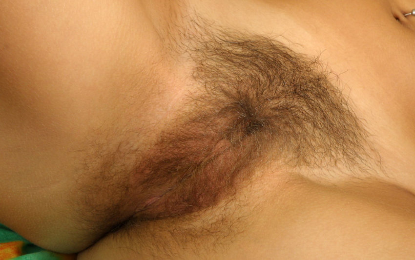 Gratis Foto 13265 Peludas