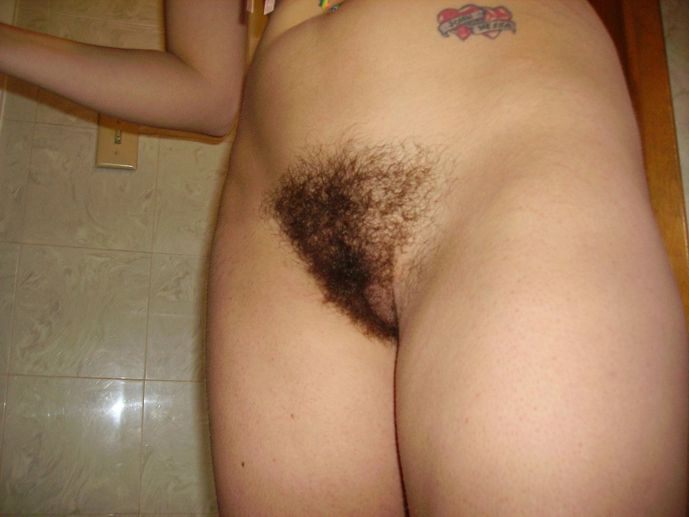 Gratis Foto 7012 Peludas