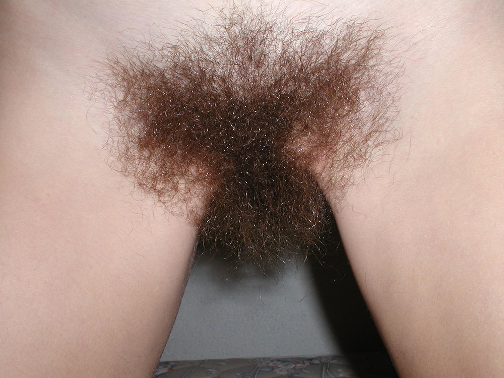 Gratis Foto 1429 Peludas
