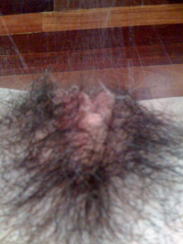 Gratis Foto 9426 Peludas