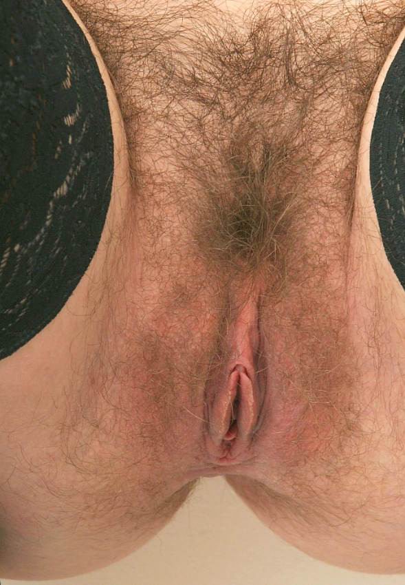 Gratis Foto 8083 Peludas