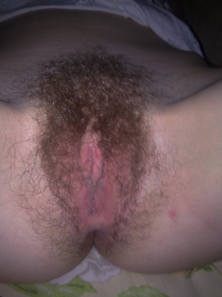 Gratis Foto 11050 Peludas