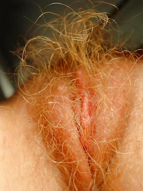 Gratis Foto 11631 Peludas