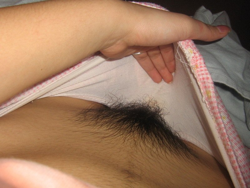 Gratis Foto 9378 Peludas