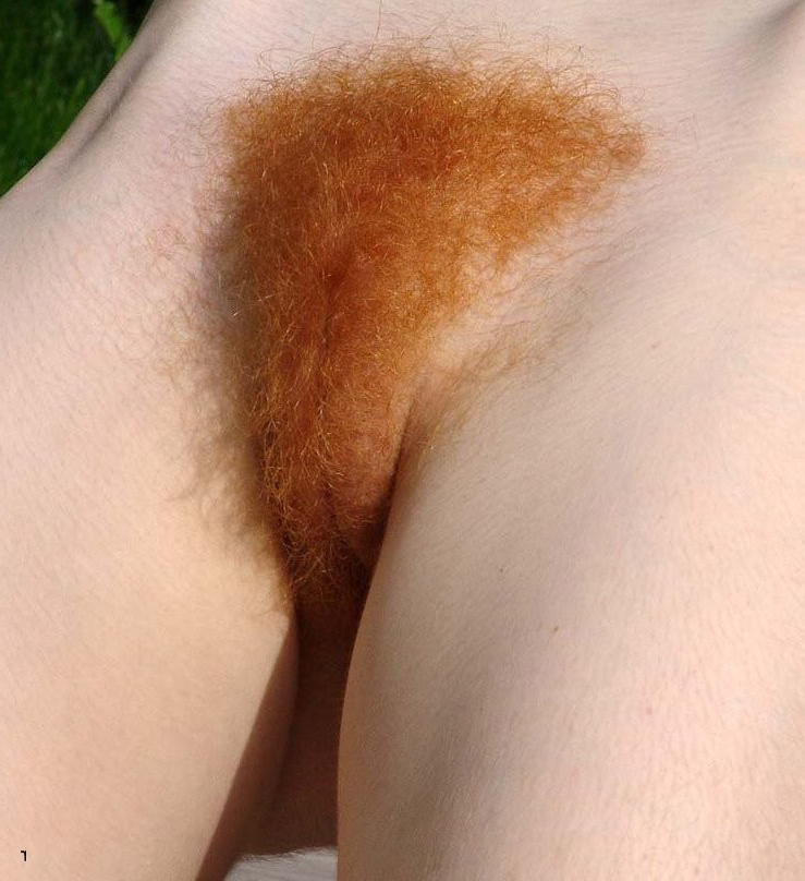 Gratis Foto 12494 Peludas