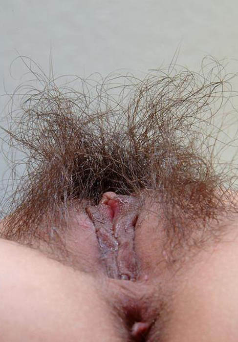 Gratis Foto 13534 Peludas