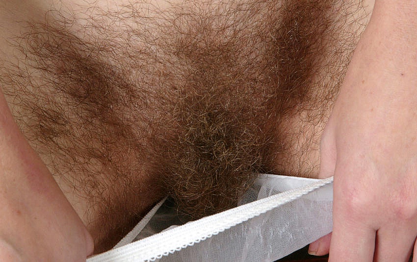 Gratis Foto 10720 Peludas