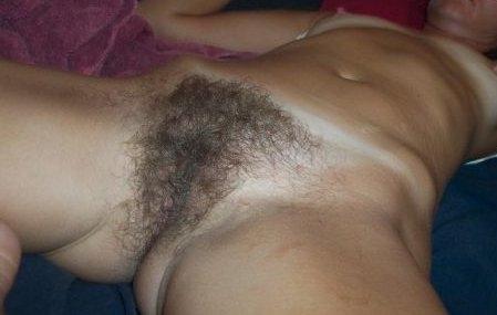 Gratis Foto 8898 Peludas