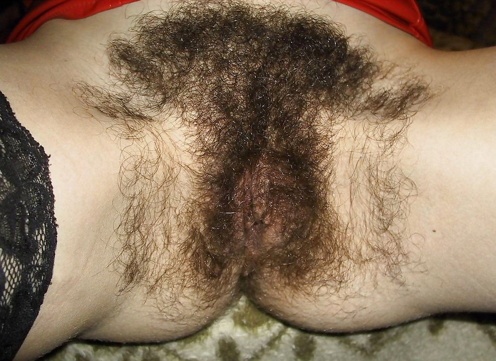 Gratis Foto 4603 Peludas