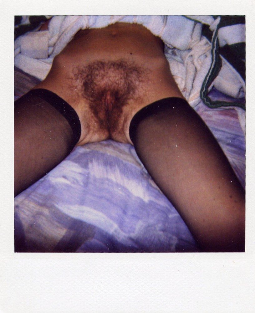 Gratis Foto 3062 Peludas
