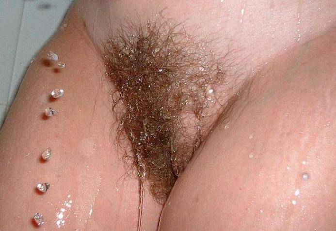 Gratis Foto 3911 Peludas