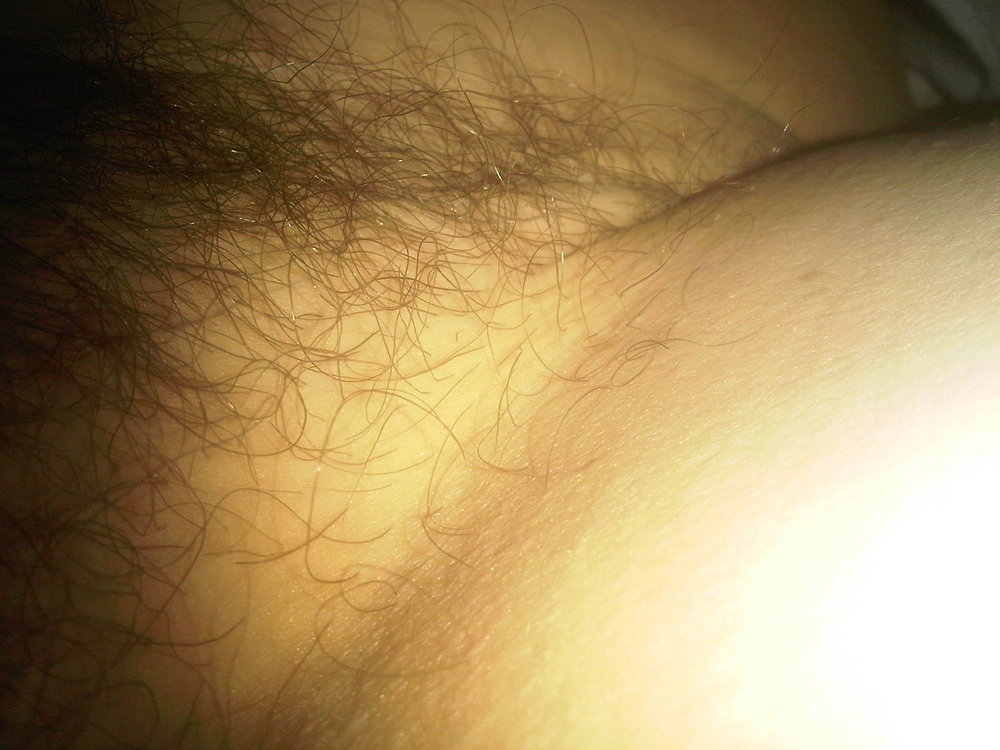 Gratis Foto 11767 Peludas