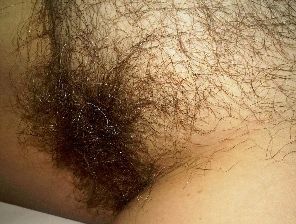 Gratis Foto 11244 Peludas