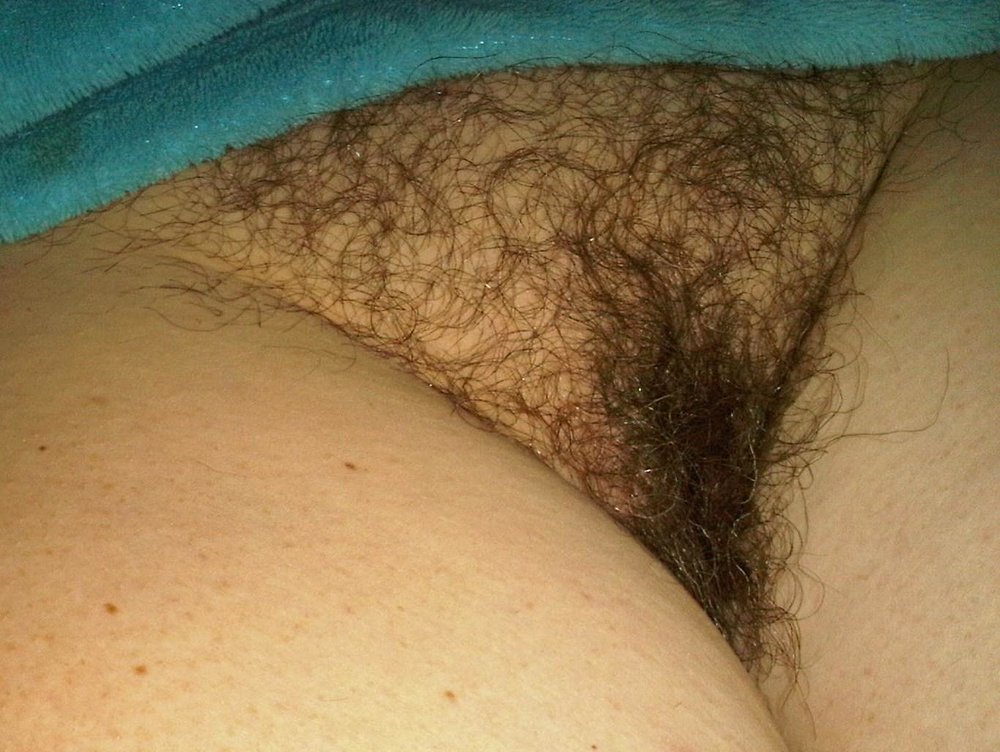 Gratis Foto 4578 Peludas
