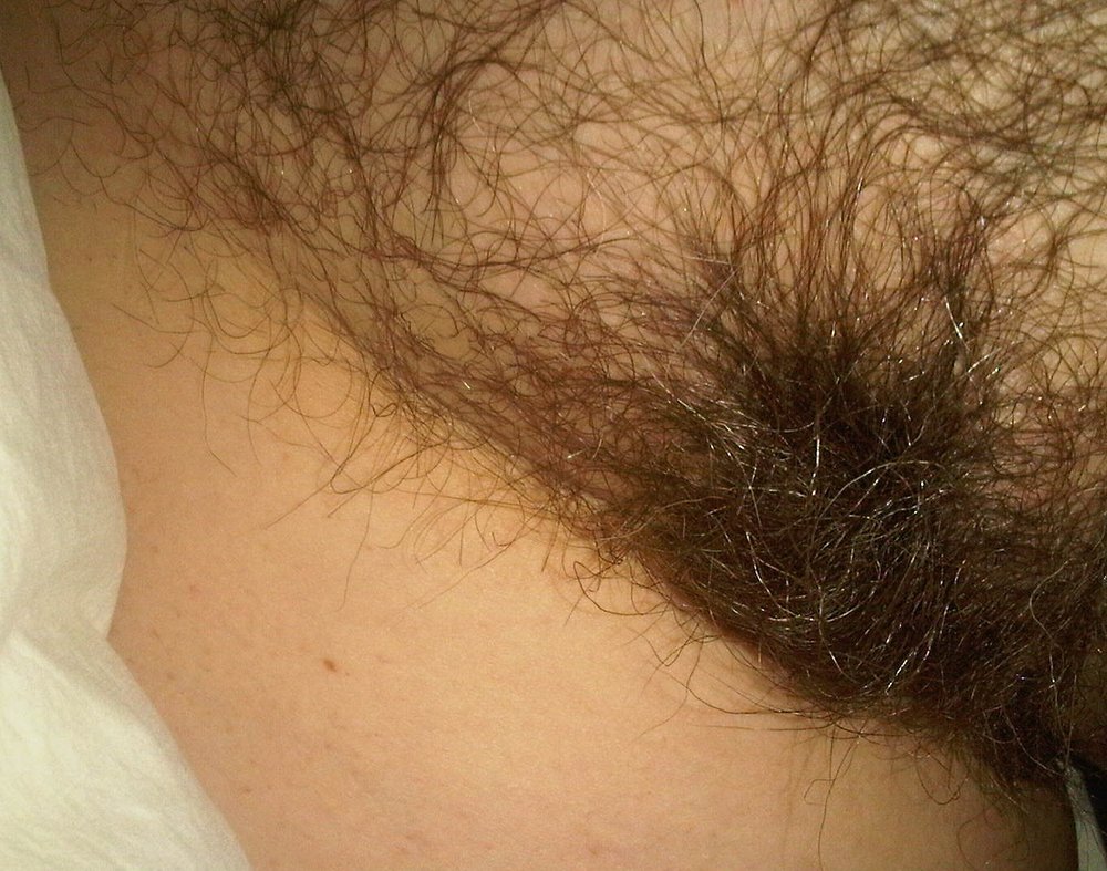 Gratis Foto 3815 Peludas
