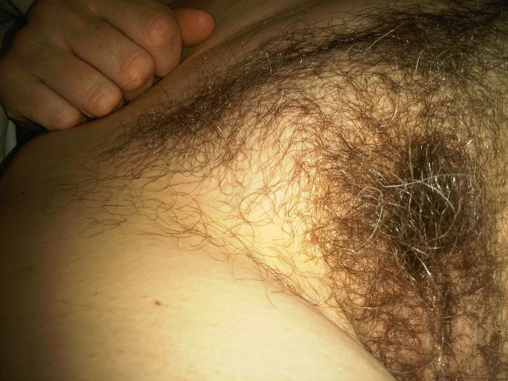 Gratis Foto 9433 Peludas