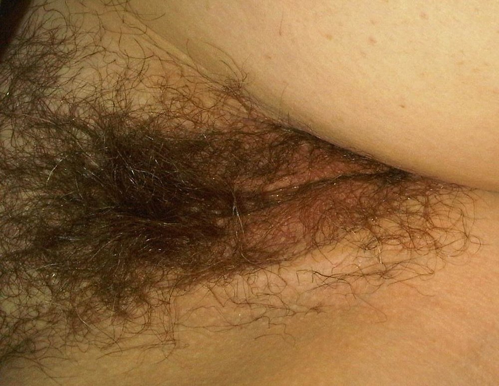 Gratis Foto 7541 Peludas