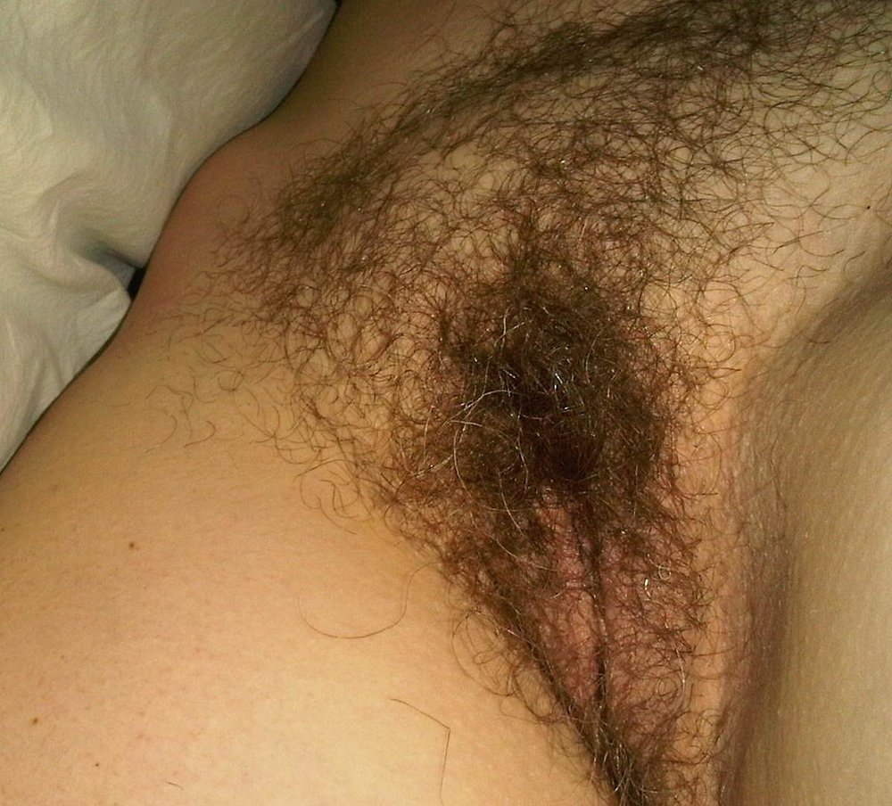 Gratis Foto 10966 Peludas