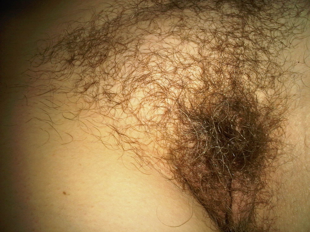 Gratis Foto 14624 Peludas