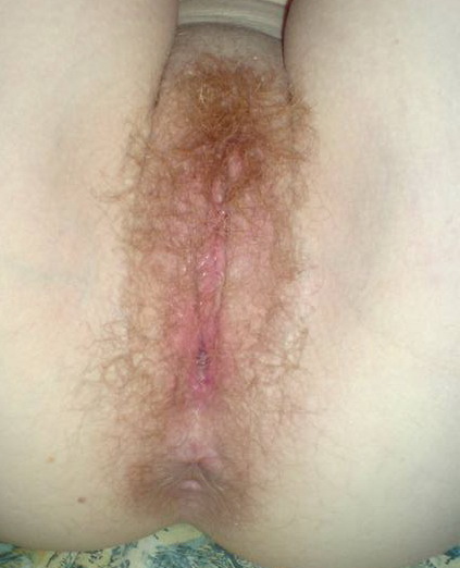 Gratis Foto 9471 Peludas