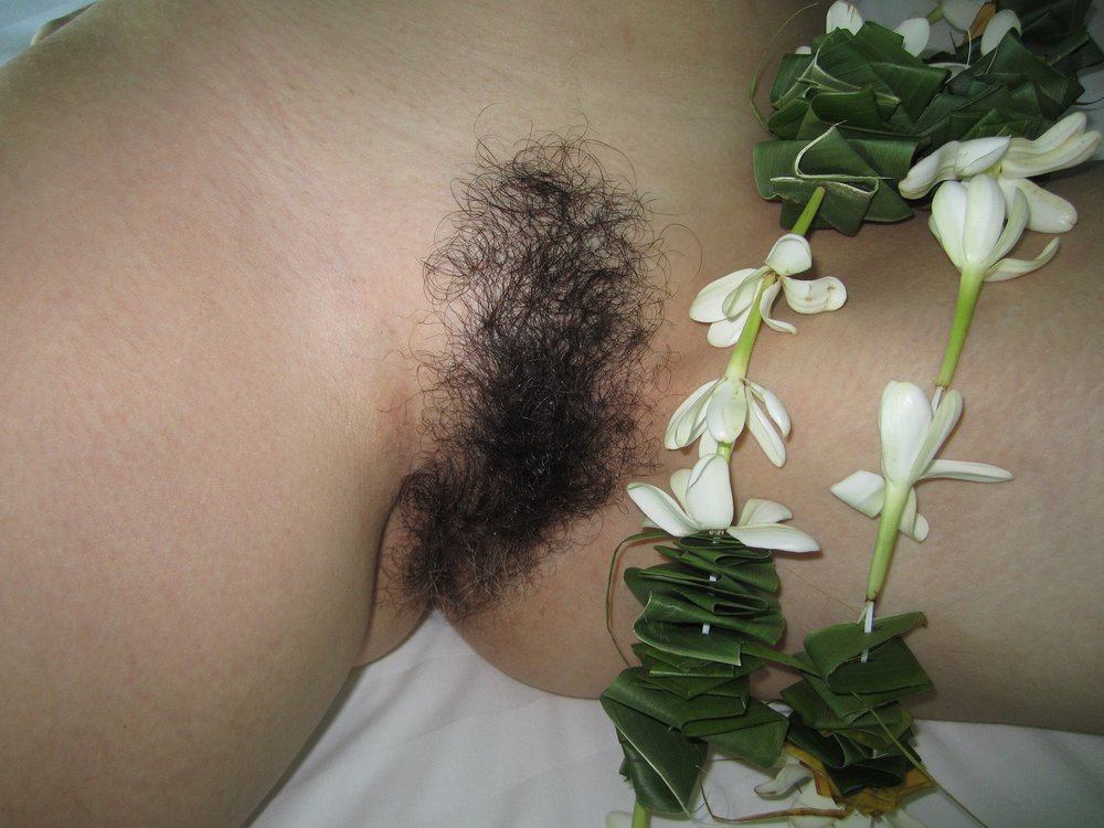 Gratis Foto 9794 Peludas