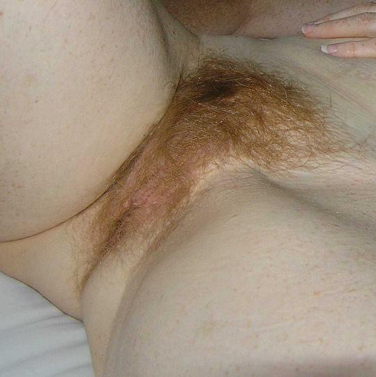Gratis Foto 2843 Peludas