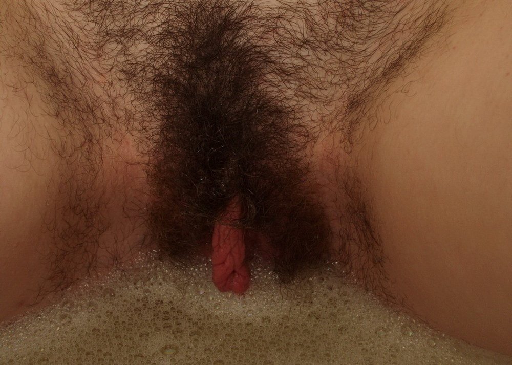 Gratis Foto 8047 Peludas