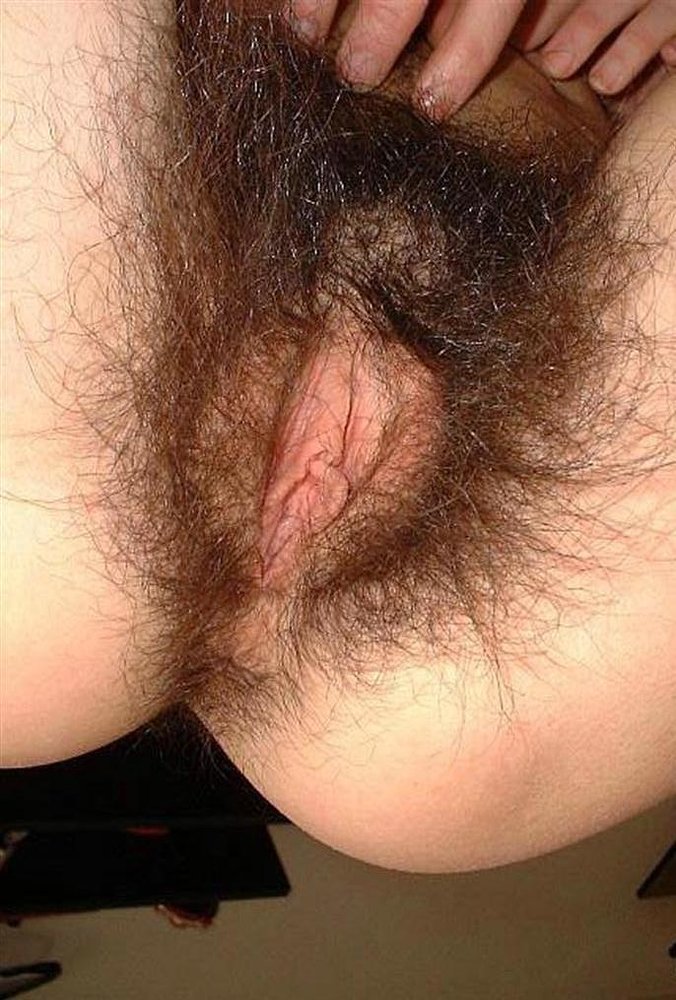 Gratis Foto 7526 Peludas