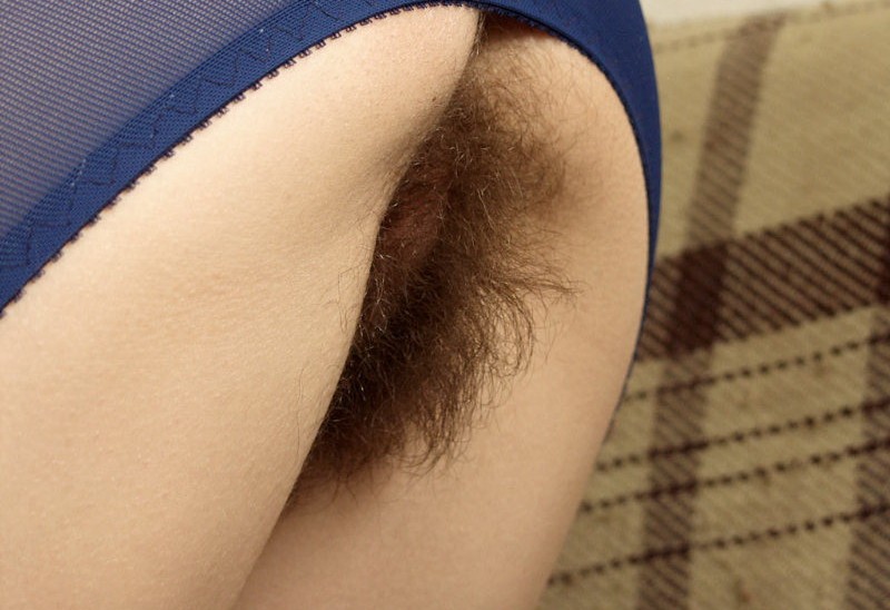 Gratis Foto 3427 Peludas