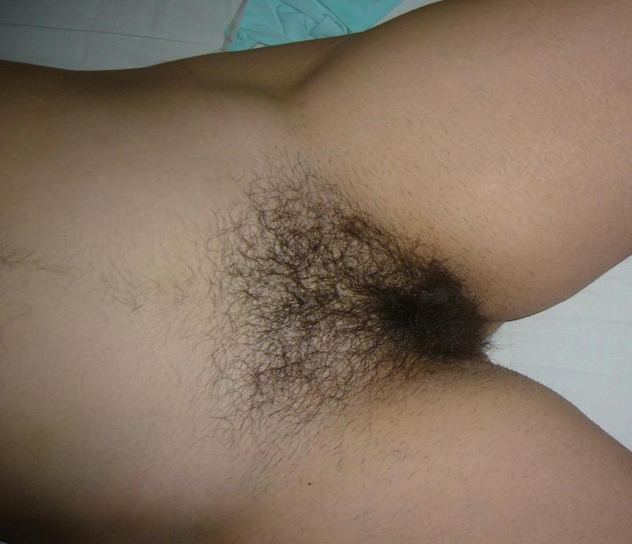 Gratis Foto 8169 Peludas