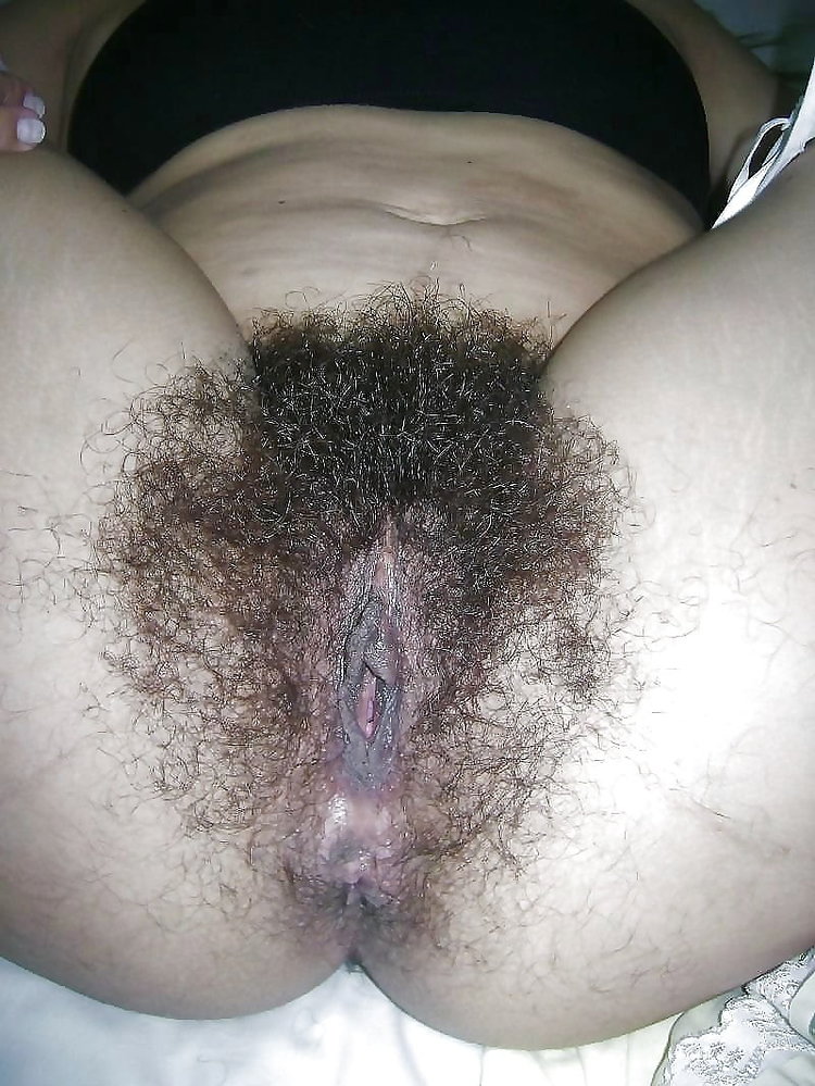 Gratis Foto 12944 Peludas