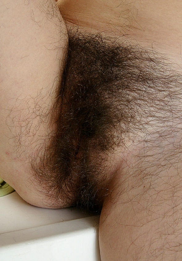 Gratis Foto 8321 Peludas